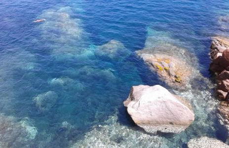 Il sughereto - Foto 13