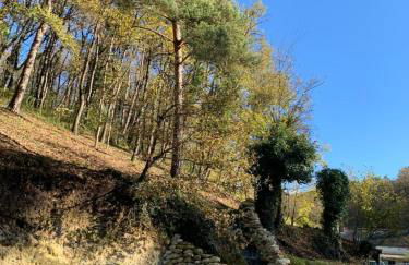 Altanka, Maison, calme au milieu de la nature près de Beauval, Chenonceau et autres chateaux de la Loire - Foto 46