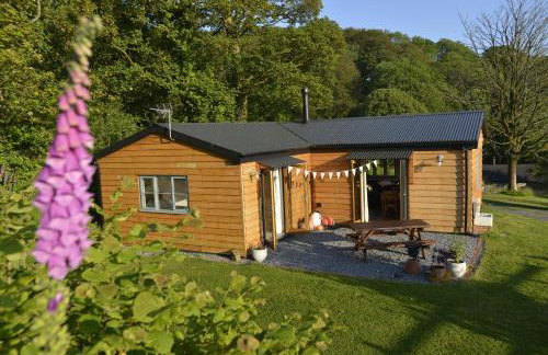 Sweet Pea Cottage, Amroth - Foto 57