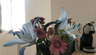 Charmant et Lumineux - Foto 5