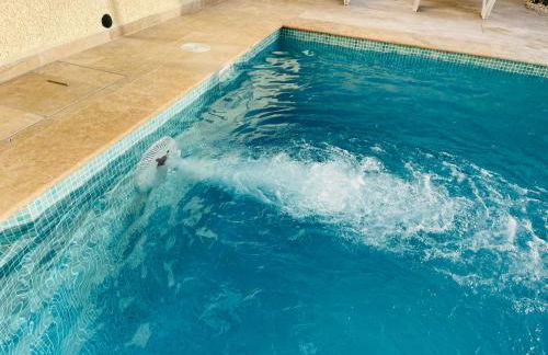 Casa Azure - Photo 10