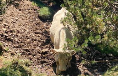 Precioso apartamento con vistas montaña o rio - Foto 54