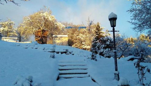 Ferienhaus Mülhaupt - Foto 4