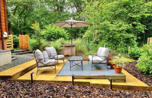 Luxury Wood Lodge with sauna, log burner & private woodland garden - Wnion Wood Lodge - Foto 15