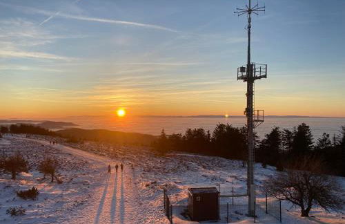 Ferienwohnung Kräutergarten - Foto 28