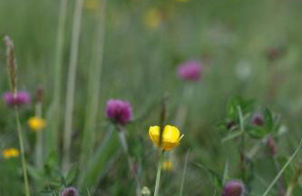 Long Meadow Shepherd Hut - Brecon Beacons, LD3 7TD - Foto 42