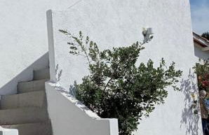 Dimore Acquasale- Sea View Houses - Photo 53