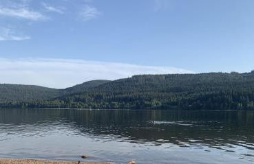 BergOase-Apart am Feldberg - Foto 50