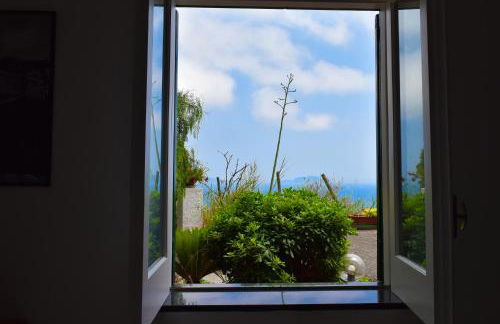 IL GIARDINO SELVATICO DI SUCCELLARIO - APARTMENTS - Foto 20