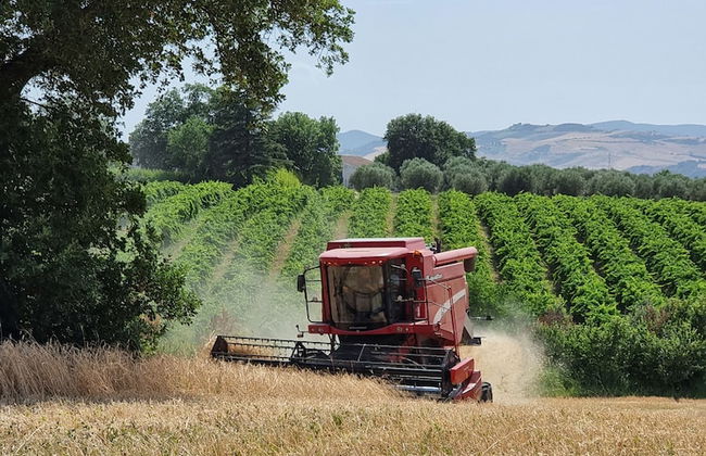 Agriturimo Essentia Dimora Rurale - Foto 75