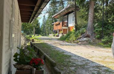Ca'Mugo, a chalet in the magic woods, near Cortina - Foto 47