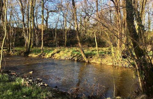 Daffodil House , West Wales - Foto 23