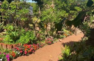 Diamantina, Curralinho Extração - Foto 68