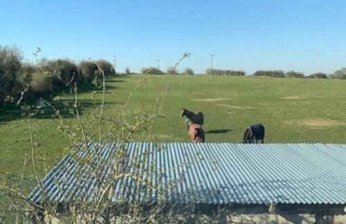 The Rickyard - Foto 15