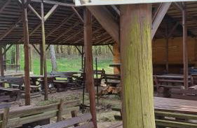 Domek u Bartnika z basenem na Mazurach - Foto 37