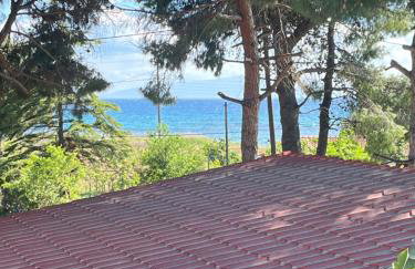 Κ & Μ House by the sea - Foto 14