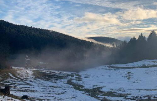 Natur pur im Nationalpark Schwarzwald - Foto 12