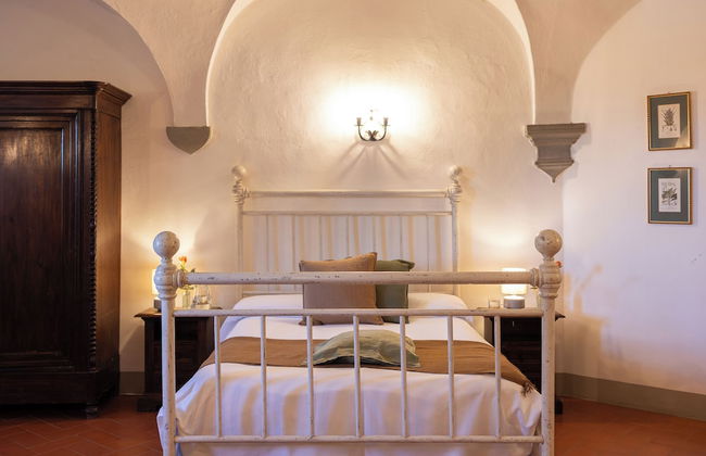 Castello Vicchiomaggio - Photo 62