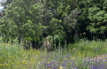 Superbe appartement neuf de haut standing - Foto 38