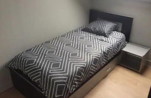 Appartement spacieux et lumineux au centre ville - Foto 11