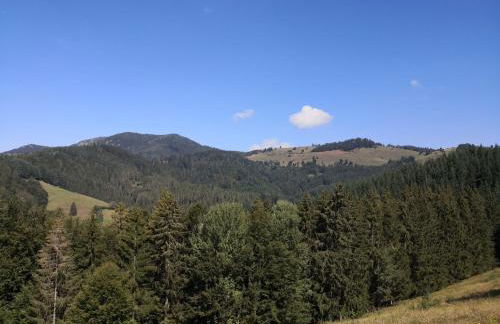 Ferienwohnung Belchenliebe - Foto 20