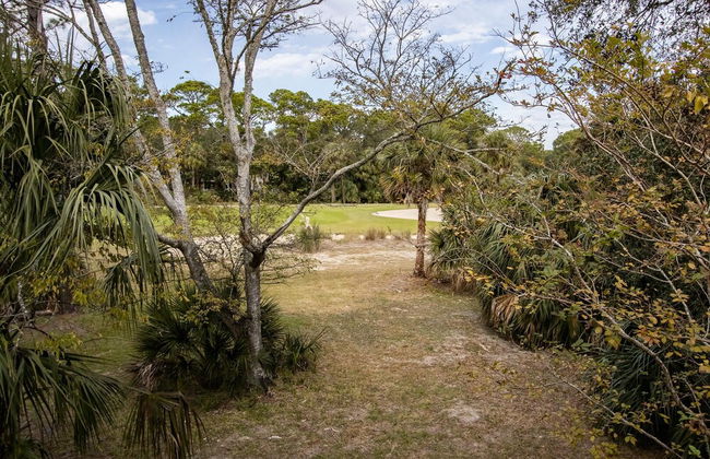 778 Marlin Dr - Foto 39