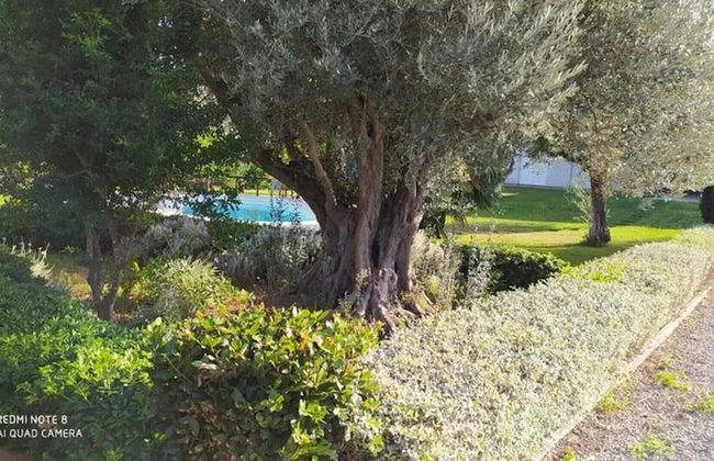 Luxurious 6 Bedroom Villa In a Great Location - Foto 37