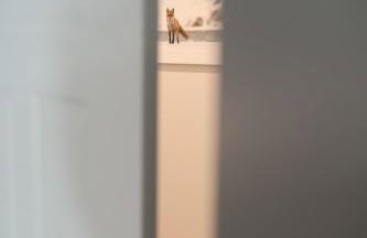 Pałac i Folwark Brzeźnica - Foto 45