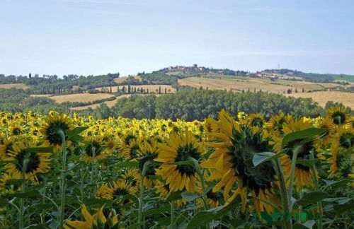 Villa Marta - Foto 21