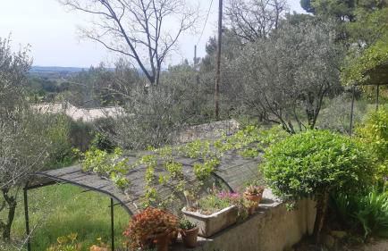 Domaine Fontaine - Foto 8