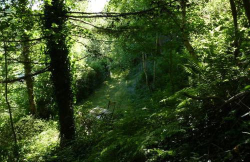 Pretty sunny cottage, Machynlleth - Photo 12