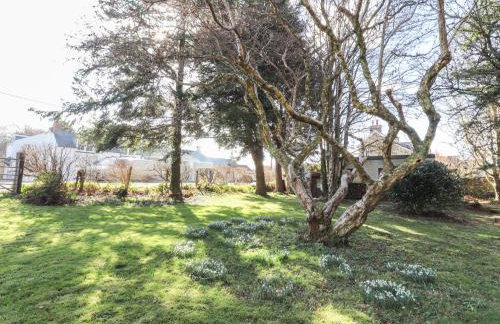 Otter Cottage - Foto 27