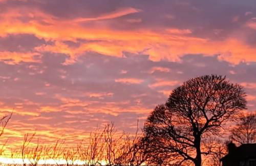family honeybeelodge york Hot Tub and wood burner - Foto 26
