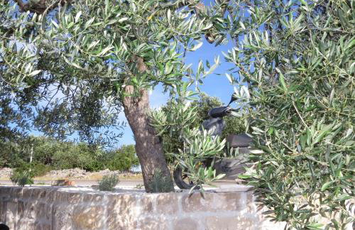 Apartmani Rita - Photo 19