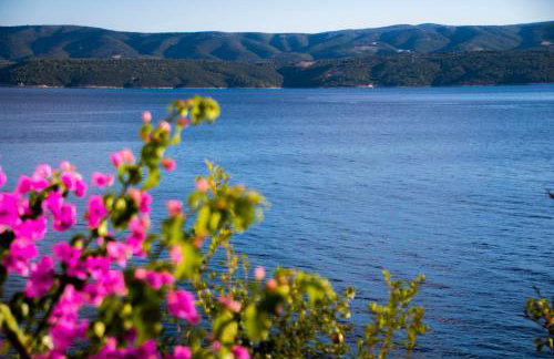 Apartments Lile by the sea, Čelina Zavode - Foto 32