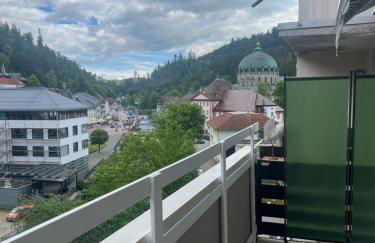 Auszeit im schönen Hochschwarzwald - Foto 38