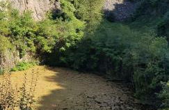 Ferienwohnung Bachstelze mit privater Terrasse - Foto 51