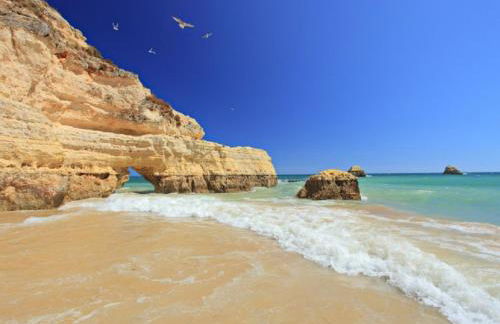 Villa Olivia - NEW! - Photo 55