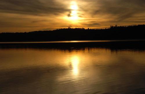 Natura Apartamenty - Foto 54