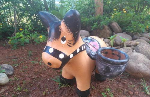 Recanto Mauá - Chalé Azaleia - Photo 40