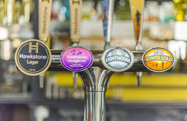 Ynys Arms - Photo 45