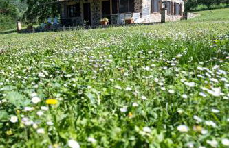 Poderaccio Agri Relais Apartments & Restaurant - Foto 25