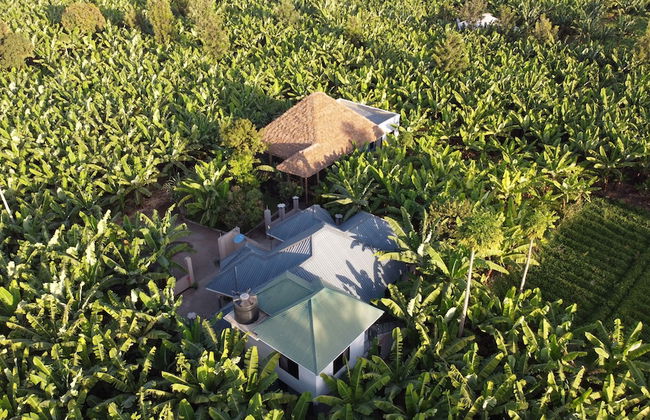 Jangwani river view inn - Foto 12