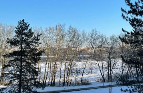 Messeapartment Wöhrder See - Foto 18