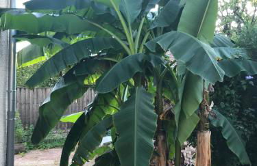 Les Terrasses de La Malcombe - Foto 15