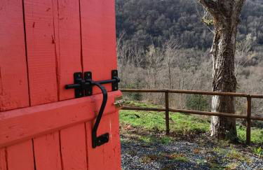 O Salgueiral - Foto 29