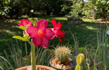 Aconchegante Casa de Hóspedes - Chácara Prado - Foto 49