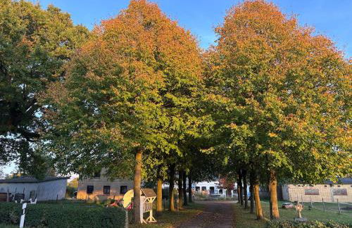 Wohnen in der ehemaligen Bauernstube - Foto 26