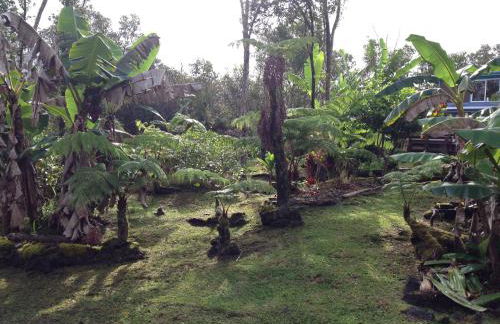 Ixchel Hawaii Volcano - Foto 20