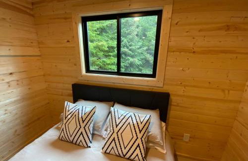 Oyster Lady Homer, AK - Foto 19